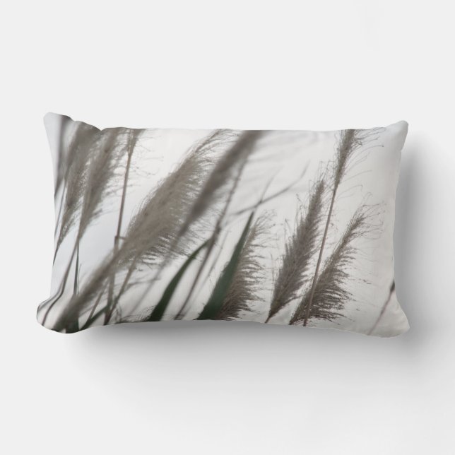 Breeze | Japanese Silvergrass Grasses Gifts Lumbar Cushion (Front)