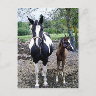 Breezie n Zura Postcard