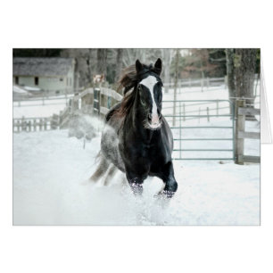 Brenda Lee Running Winter