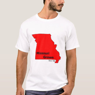 Brendan's shirt