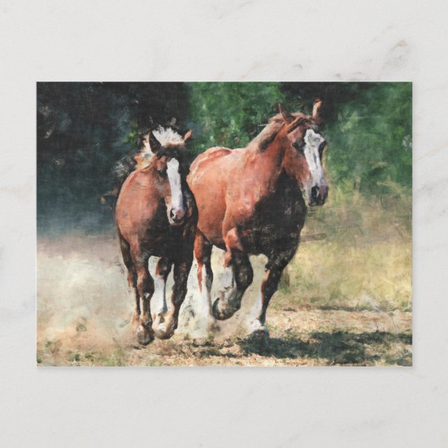 Breton draught horses postcard (Front)