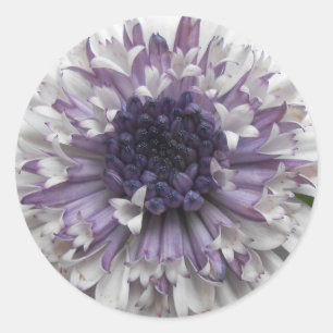 Brett Classic Round Sticker