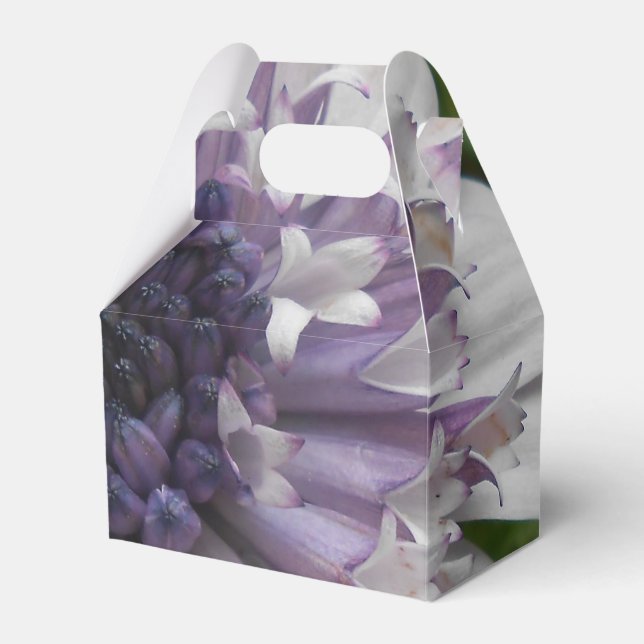 Brett Favour Box (Front Side)