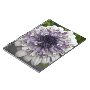Brett Notebook