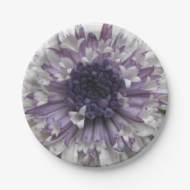 Brett Paper Plate (Front)