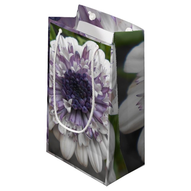 Brett Small Gift Bag (Front Angled)