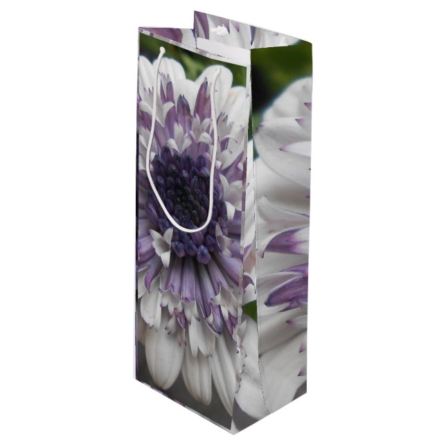 Brett Wine Gift Bag (Front Angled)