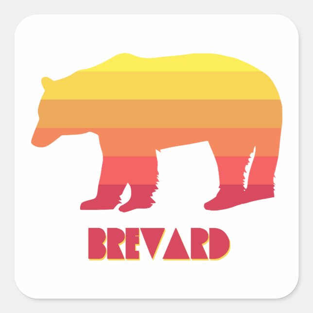 Brevard North Carolina Rainbow Bear Square Sticker (Front)
