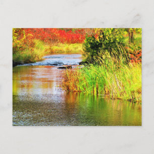 Brewery Creek in Autumn Sunny Day Scenic Postcard