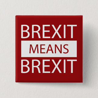 Brexit Means Brexit 15 Cm Square Badge