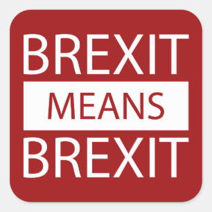 Brexit Means Brexit Square Sticker