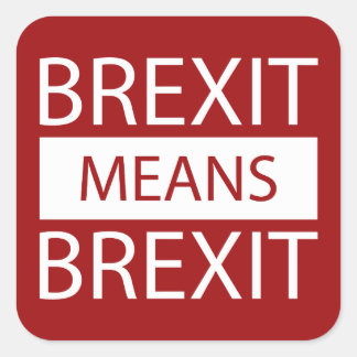 Brexit Means Brexit Square Sticker