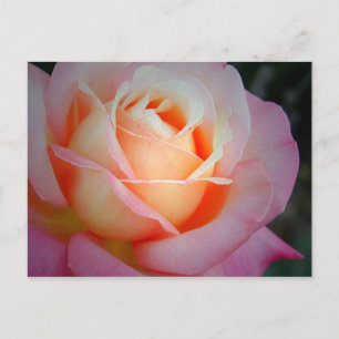 Brianna Postcard