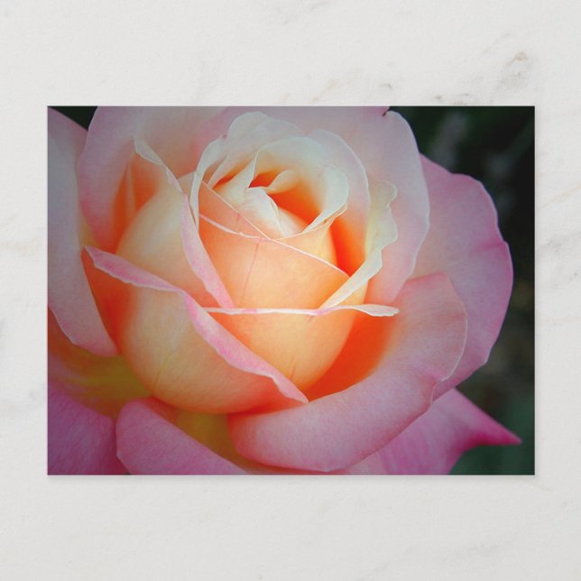 Brianna Postcard (Front)