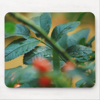 briar mouse mat