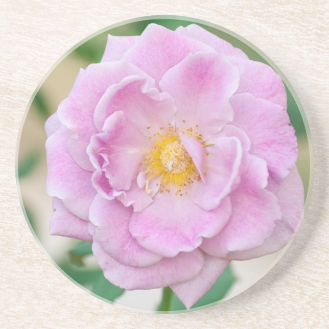 Briar Rose Coaster (Front)