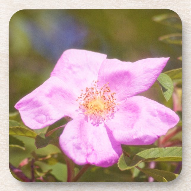Briar Rose Coaster (Front)