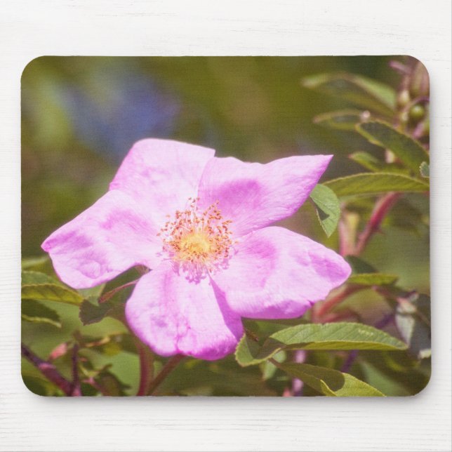 Briar Rose Mouse Mat (Front)