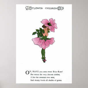 Briar-Rose Poster