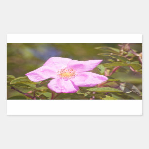Briar Rose Rectangular Sticker