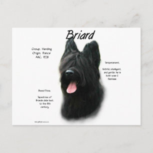 Briard (black) History Design Postcard