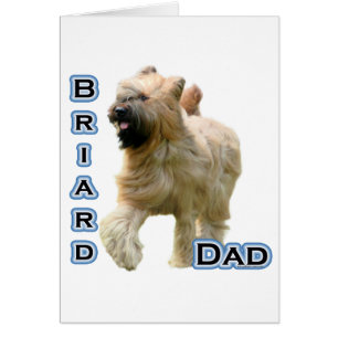 Briard Dad 4
