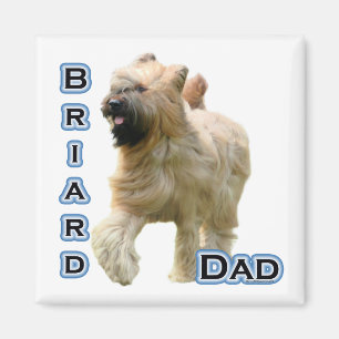 Briard Dad 4 - Magnet