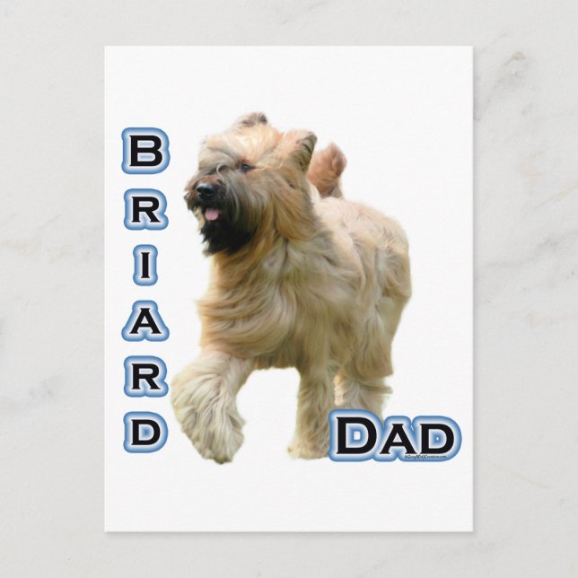Briard Dad 4 Postcard (Front)