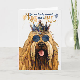 Briard Dog King for a Day Funny Birthday Card