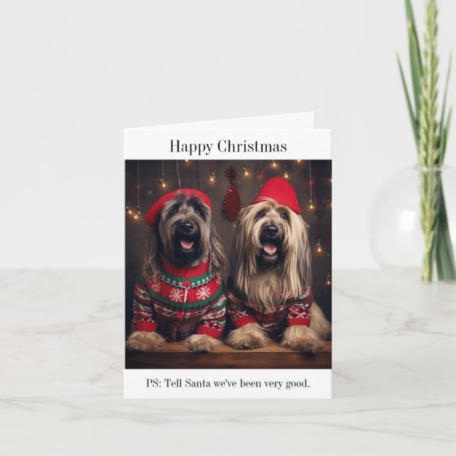 Briard Dogs Christmas Card (Front)