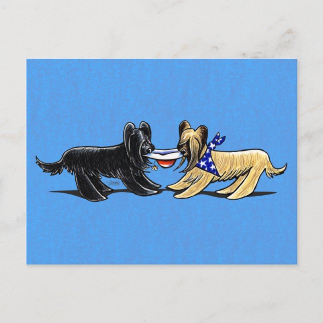 Briard Mad Hatters Off-Leash Art™ Postcard (Front)