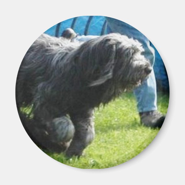 briard magnet (Front)