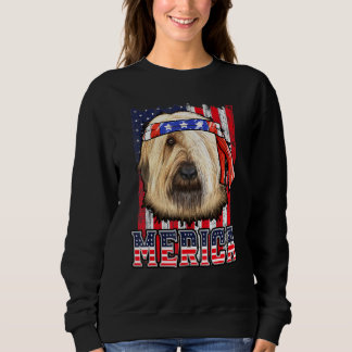 Briard Merica 4th Of July Dog Patriotic Flag Sweatshirt