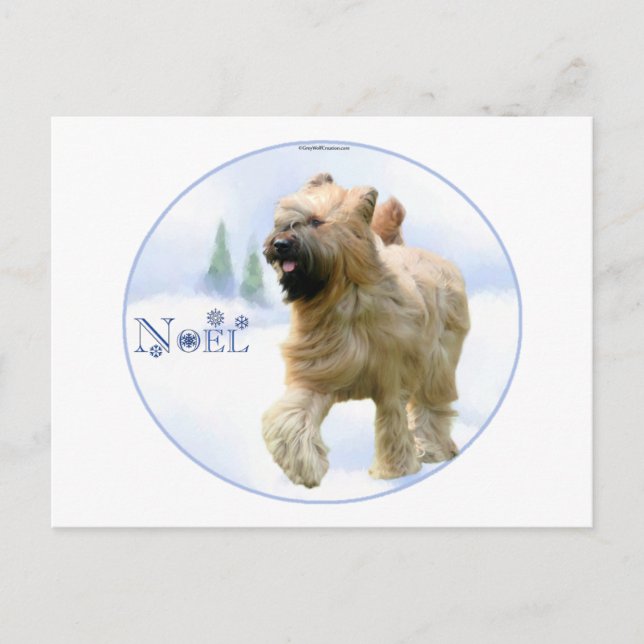 Briard Noel Holiday Postcard (Front)