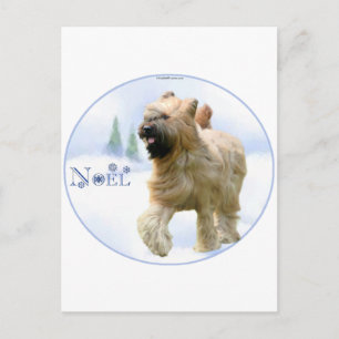 Briard Noel Holiday Postcard