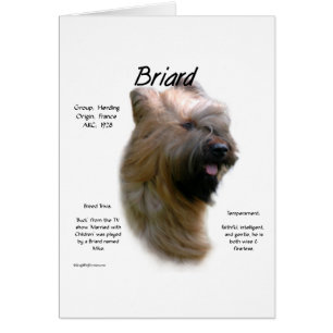 Briard (tawny) History Design