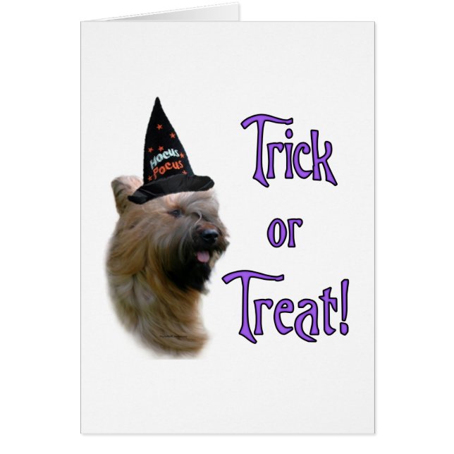 Briard Trick (Front)