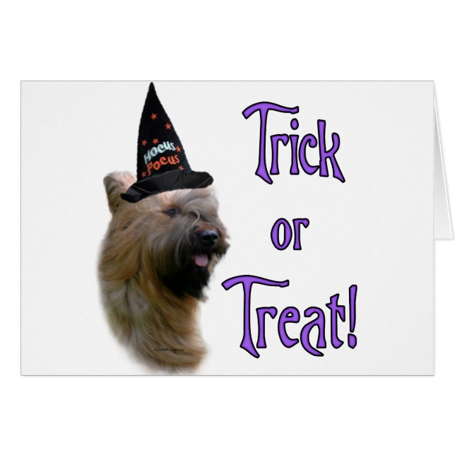 Briard Trick (Front Horizontal)