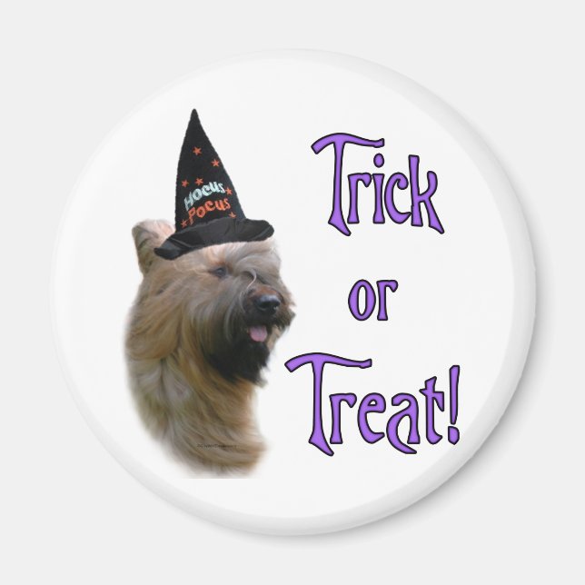 Briard Trick Magnet (Front)