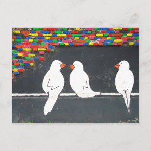 brick bird wall : graffiti wall postcard