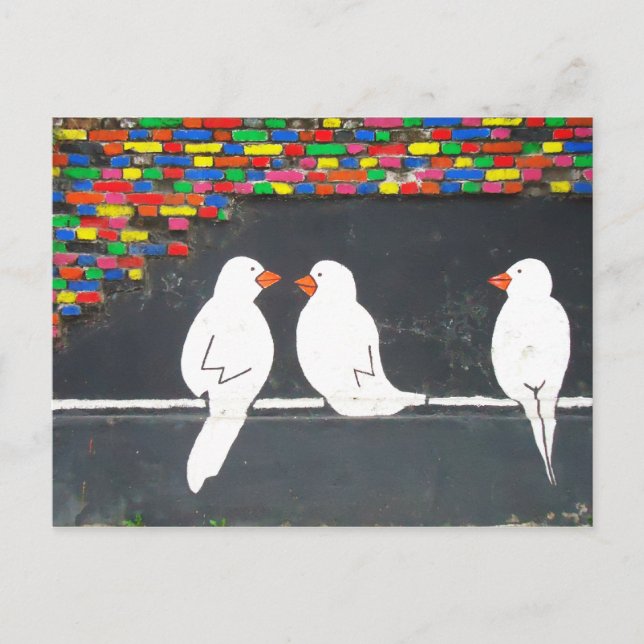 brick bird wall : graffiti wall postcard (Front)