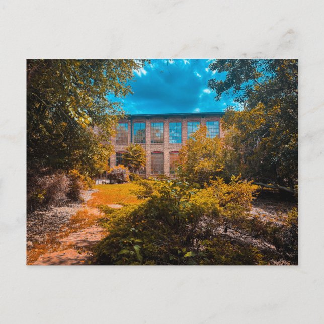 Brick Building Overgrown with Nature Postcard (Front)