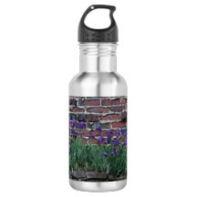 Brick & Iris Water Bottle