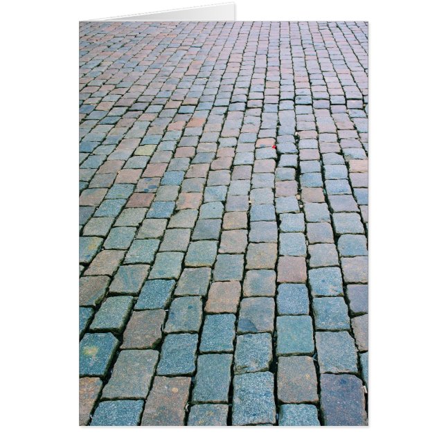 Brick Plaza at The Grand Place - Brussels, Belgium (Front)