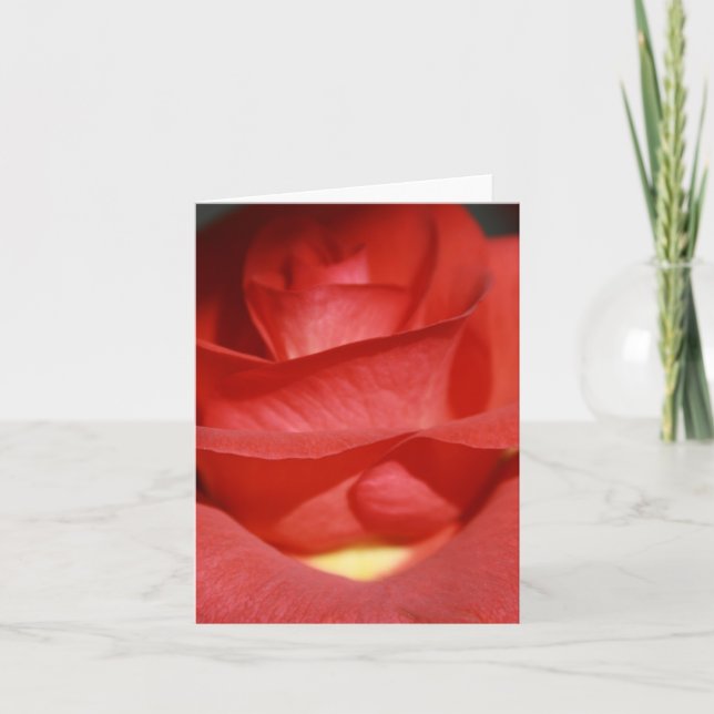 Brick Red Rose Note Card (Front)