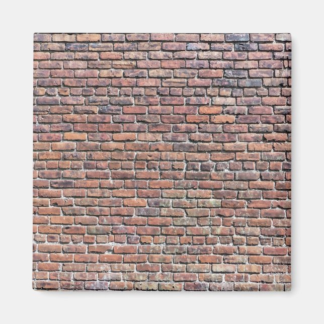 Brick Wall Magnet (Front)