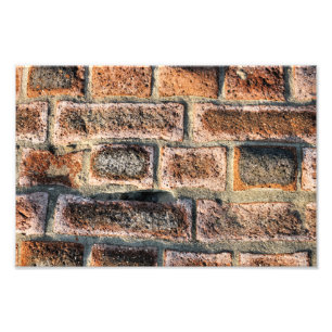 BRICK WALL PHOTO PRINT