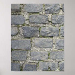 Brick Wall poster, customise Poster
