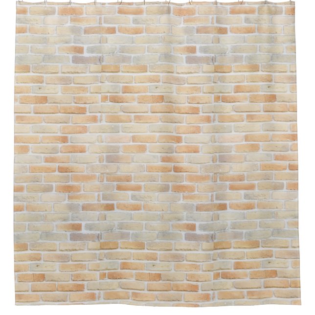 Brick wall shower curtain (Front)