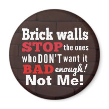 Brick Walls. Obstacles. Determination